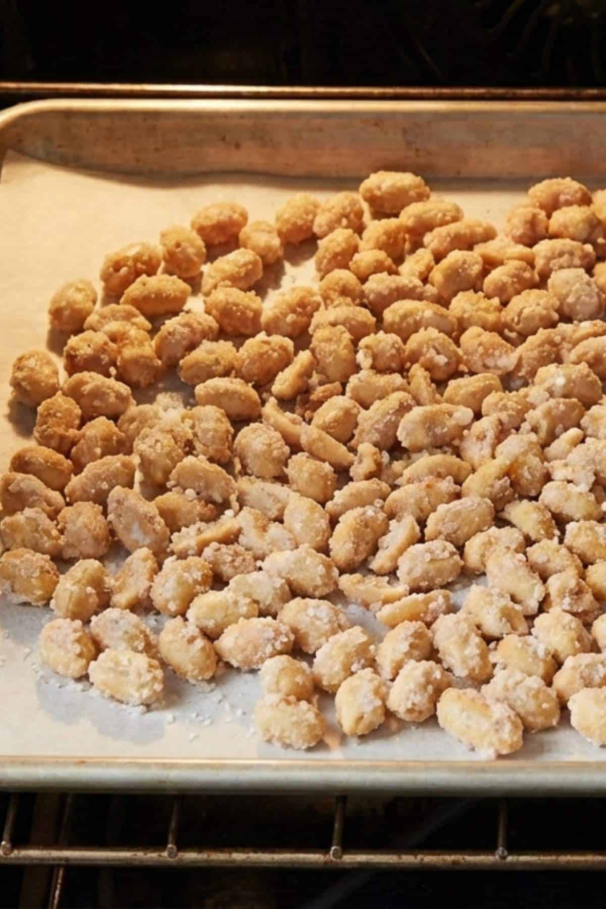 beer nuts on a baking sheet beer nuts on a baking sheet