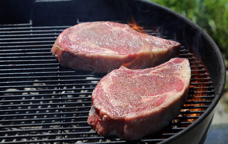 Janes Kitchen Miracles Deep Fryer Reviews