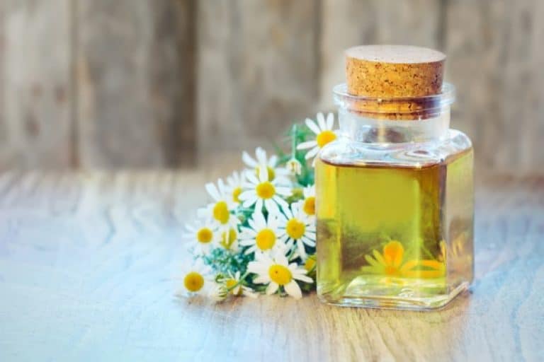 Essential Oils for Gallbladder to Reduce Pain and Other Symptoms Jane